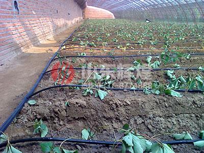 農(nóng)業(yè)灌溉用pe管有污染嗎？